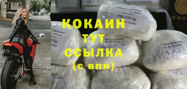 крисы Верхний Тагил