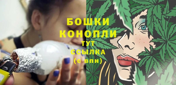 крисы Верхний Тагил