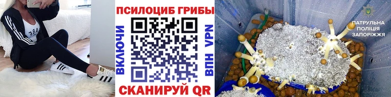 Галлюциногенные грибы Magic Shrooms  Нерюнгри 
