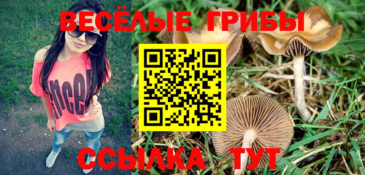 Псилоцибиновые грибы ЛСД Нерюнгри