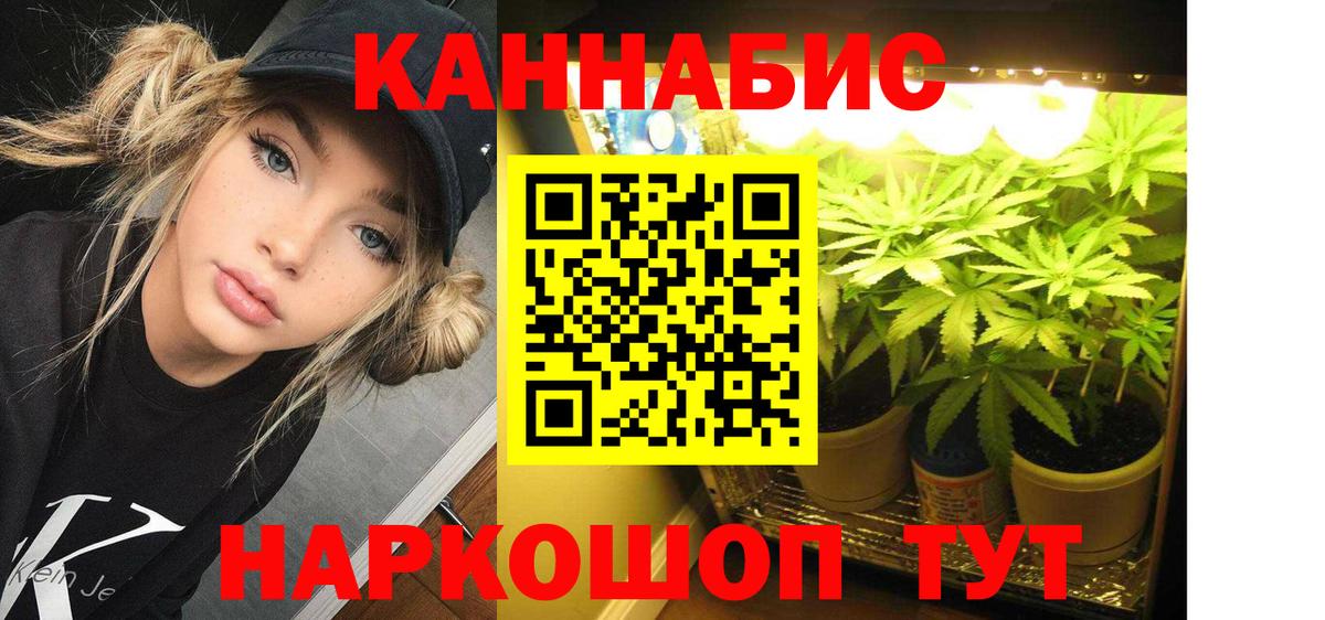Канабис SATIVA & INDICA Нерюнгри